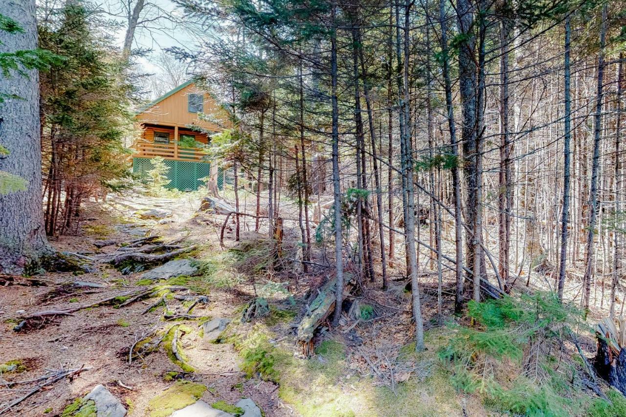 Loon Landing Lodge Greenville Bagian luar foto